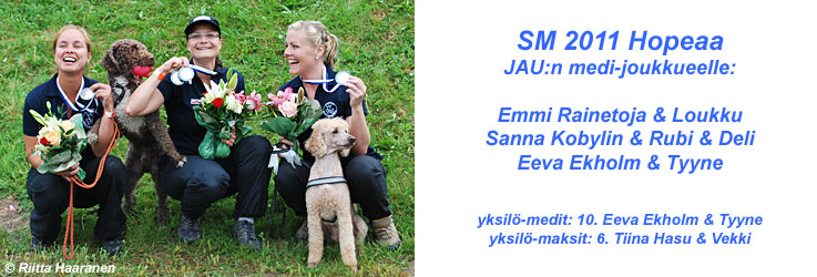 SM 2011 medeille joukkuehopeaa