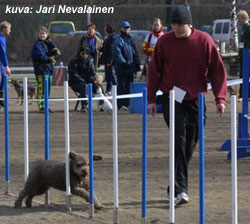 Demi ja Heikki J�rvinen