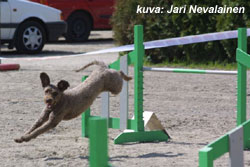 espves Leevi