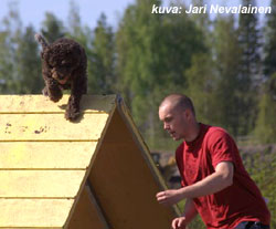 Onni ja Heikki J�rvinen