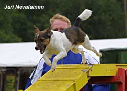 Putte ja Markku Kaukinen