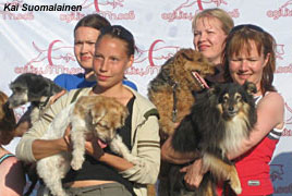 SM2006 minijoukkuekultaa