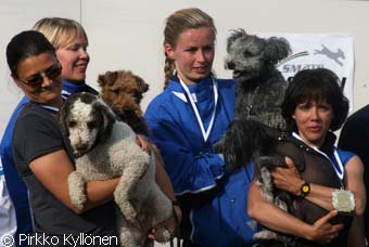 SM2008 medijoukkuekultaa