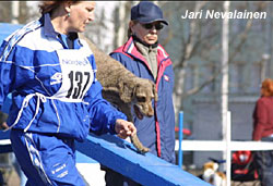 Tiina ja Anita N�rhi